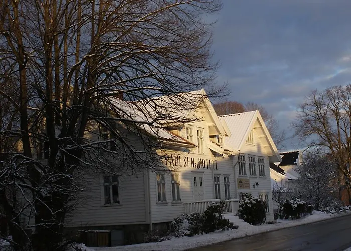 فندق Paulsens 2*